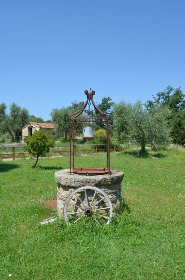 La Casina Degli Olivi Guest House Seggiano Exterior photo